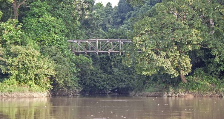 A bridge over a calm river surrounded by lush greenery.