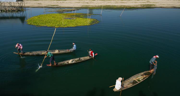 Group of people rowing traditional boats on a serene water body.