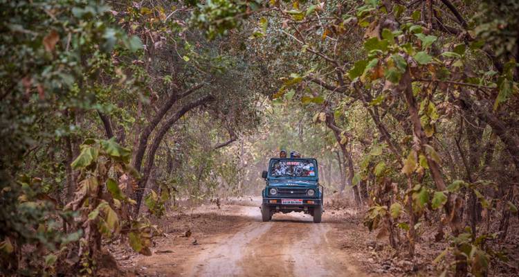 Un jeep conduciendo por un camino de bosque denso en un tour de safari.