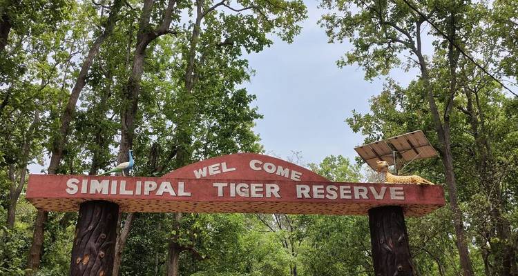 Safari dans l'Odisha sauvage : Exploration de Bhitarkanika et Similipal au départ de Bhubaneshwar - Agora Voyages OPC Pvt Ltd 7
