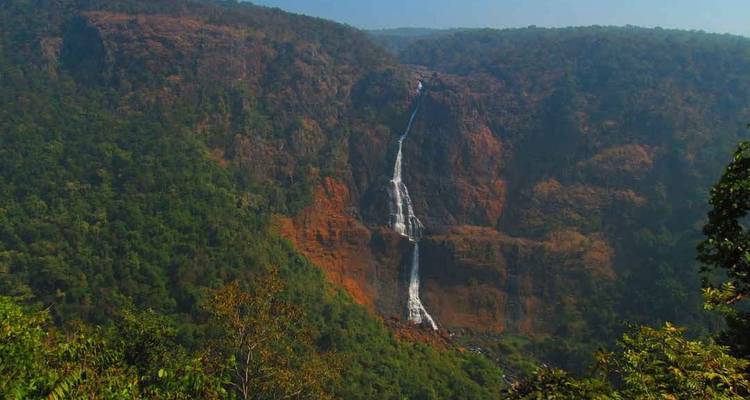 Safari dans l'Odisha sauvage : Exploration de Bhitarkanika et Similipal au départ de Bhubaneshwar - Agora Voyages OPC Pvt Ltd 9