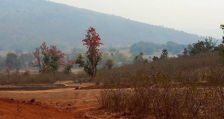 Safari dans l'Odisha sauvage : Exploration de Bhitarkanika et Similipal au départ de Bhubaneshwar - Agora Voyages OPC Pvt Ltd 10