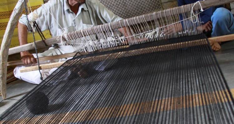 Gujarat: The Art, Craft & Nature Exploration - Agora Voyages OPC Pvt Ltd 6