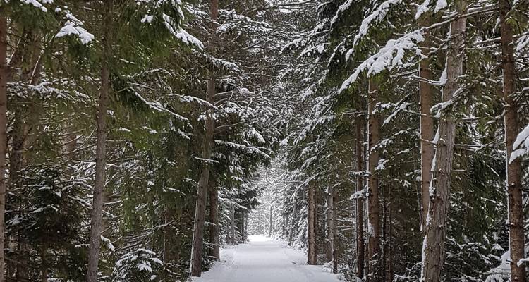 Cross-Country Skiing at Leutasch and Seefeld - Exodus Adventure Travels 4