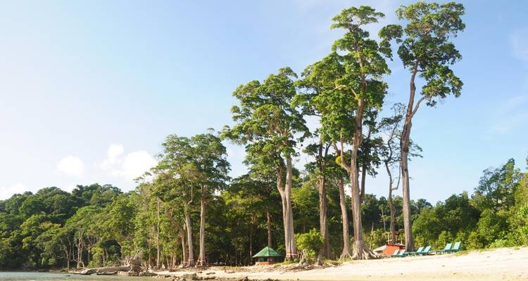 Andaman Serenity Escape: A Beach Paradise Voyage - Agora Voyages OPC Pvt Ltd 4