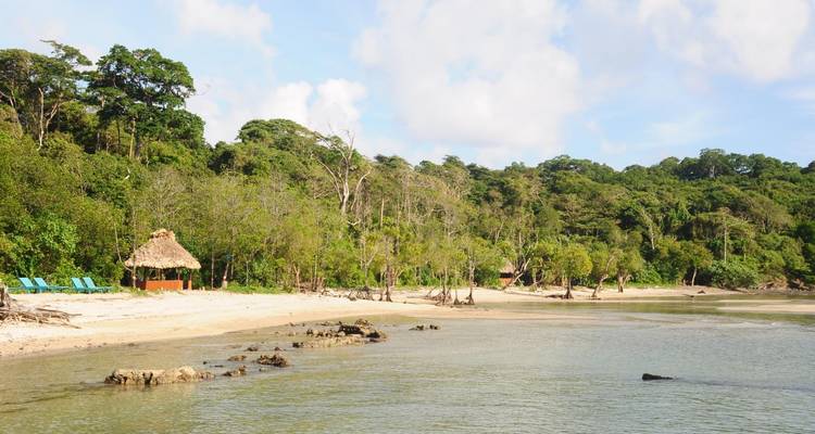 Andaman Serenity Escape: A Beach Paradise Voyage - Agora Voyages OPC Pvt Ltd 1