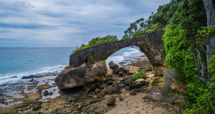 Andaman Serenity Escape: A Beach Paradise Voyage - Agora Voyages OPC Pvt Ltd 5