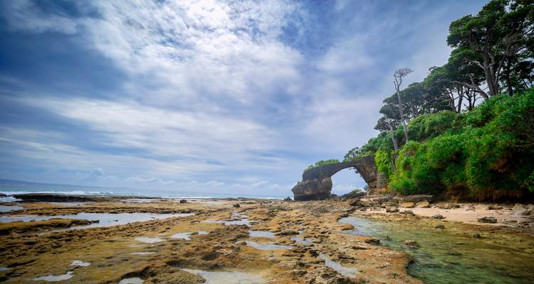 Andaman Serenity Escape: A Beach Paradise Voyage - Agora Voyages OPC Pvt Ltd 7