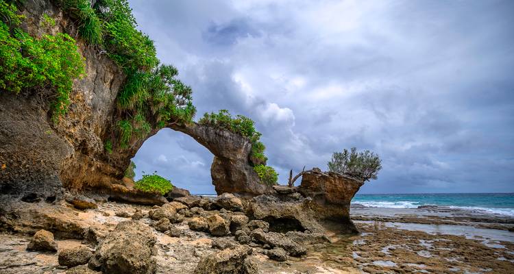 Andaman Serenity Escape: A Beach Paradise Voyage - Agora Voyages OPC Pvt Ltd 8