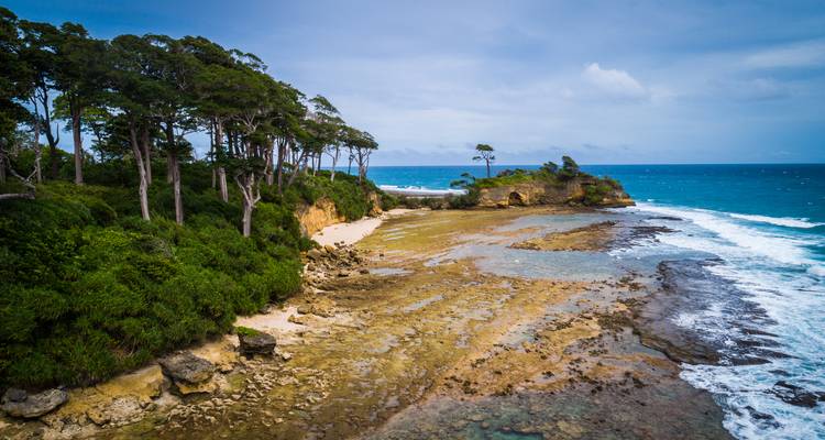 Andaman Serenity Escape: A Beach Paradise Voyage - Agora Voyages OPC Pvt Ltd 9