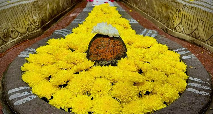 Shiva lingam with yellow chrysanthemum offering (duplicate)