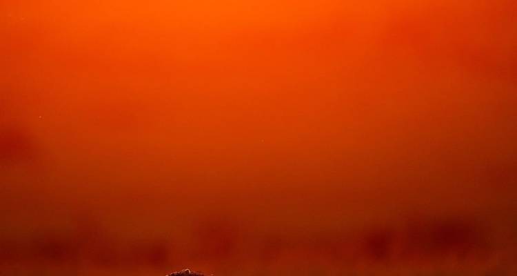5 Day Northern Tanzania Big 5 Safari - Great Lake Expedition 4