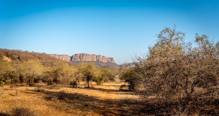 Natural landscape with scrub and rocky mountain.