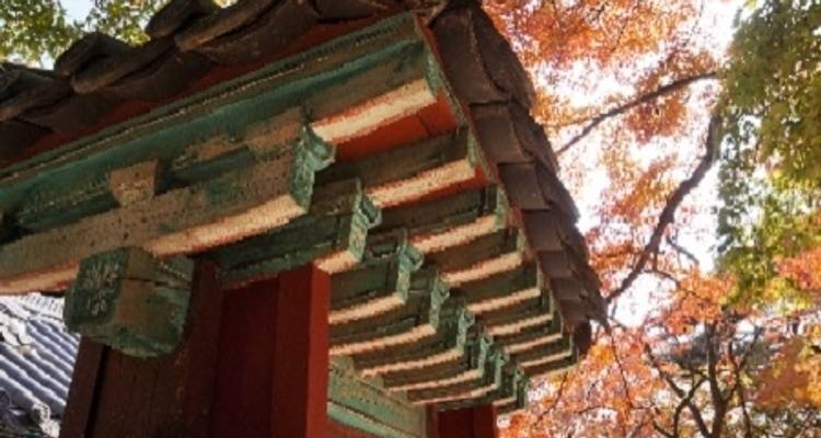 Visite de la Corée du sud en un coup d'oeil - Tweet World Travel 4