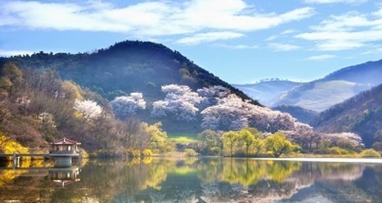 SOUTH KOREA TOUR: DISCOVER THE PAST AND PRESENT - Tweet World Travel 9