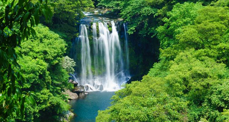 Der üppig grüne Wald, der die Insel Jeju umhüllt, mit einem Wasserfall, der in ein blaues Becken hinabstürzt.