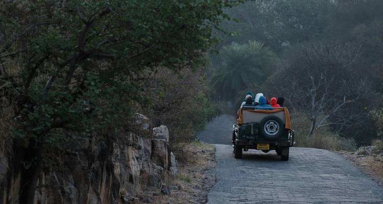 A jeep driving through a forested natural area.