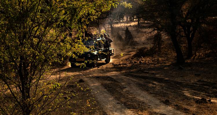 Safari en Jeep dans une forêt luxuriante avec un éclairage dramatique.