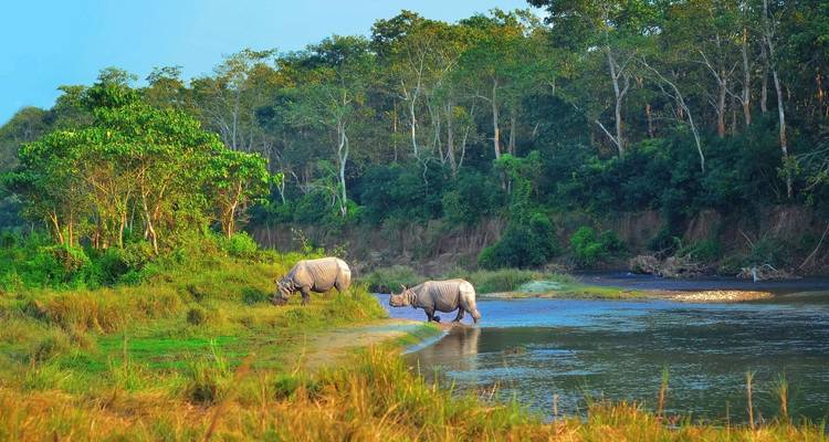 2 Nights 3 Days Chitwan Jungle Safari - Alpine Club of Himalaya 2