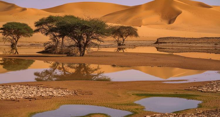 OMAN : COAST TO DESERT TOUR - 4 jours - MTA Destination Management Company 2