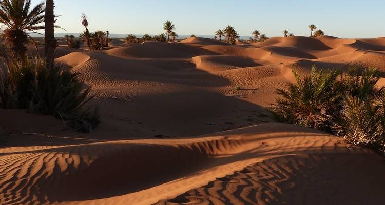 OMAN : COAST TO DESERT TOUR - 4 jours - MTA Destination Management Company 4