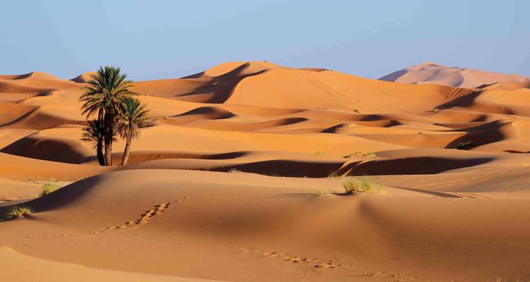 OMAN : COAST TO DESERT TOUR - 4 jours - MTA Destination Management Company 6