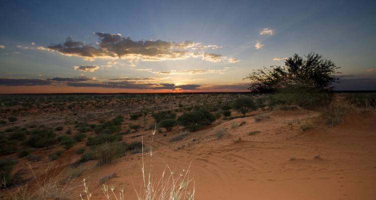 OMAN : COAST TO DESERT TOUR - 4 jours - MTA Destination Management Company 7