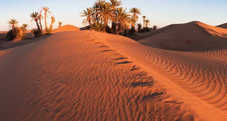 OMAN : COAST TO DESERT TOUR - 4 jours - MTA Destination Management Company 10