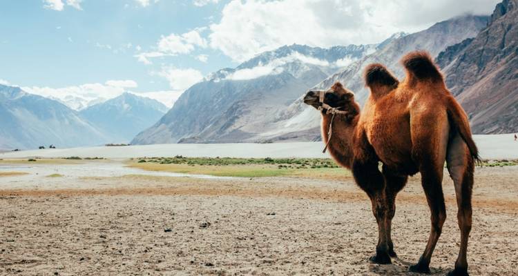 Vacances à Leh et au Ladakh - UncleSam Holidays 2