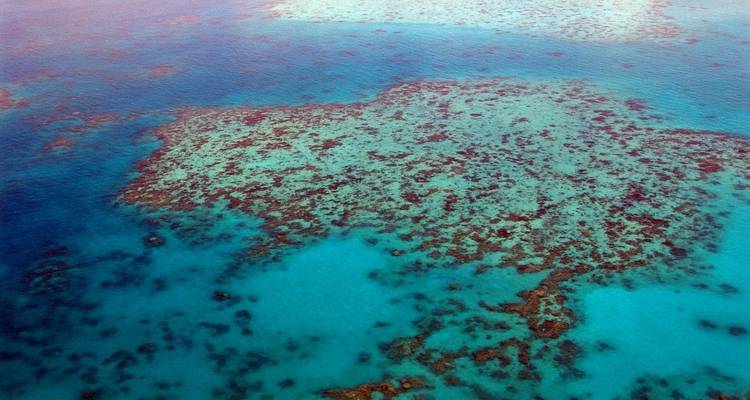 Aerial view of coral formations in clear blue water.