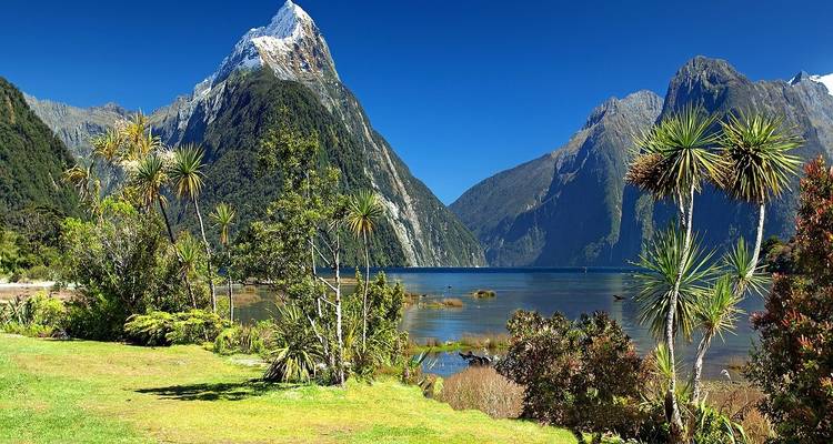 New Zealand Panorama (2024/2025, 7 Days) - AAT Kings 7