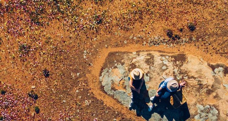 Aerial perspective of two travellers standing amid multicoloured outback wildflowers and rocky soil.