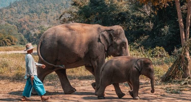 IN-DEPTH DISCOVERY THAILAND TOUR - Tweet World Travel 3