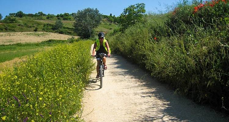 Een eenzame fietser rijdt over een zandpad omgeven door wildebloemen en groene velden onder een heldere hemel.