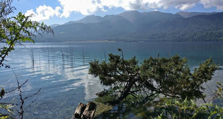 Kalm meer met een gedeeltelijk ondergedompelde boom en bergen in de verte.