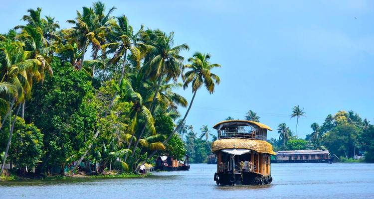 Woonboot op stilstaande wateren omringd door palmbomen.