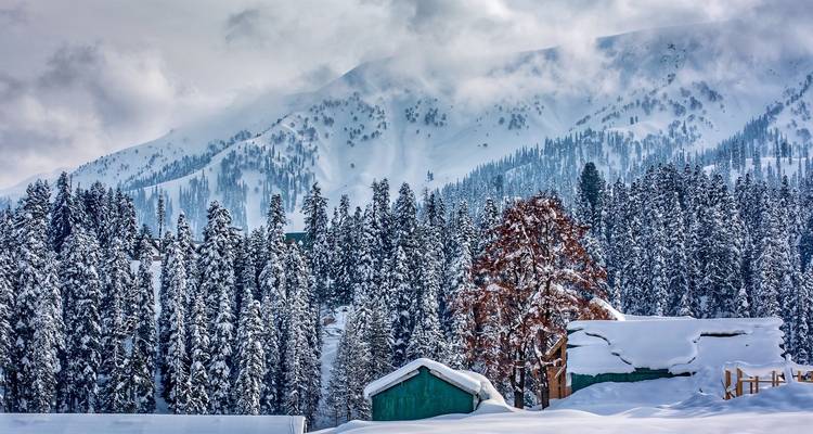 6 Days Kashmir Tour - UncleSam Holidays 3