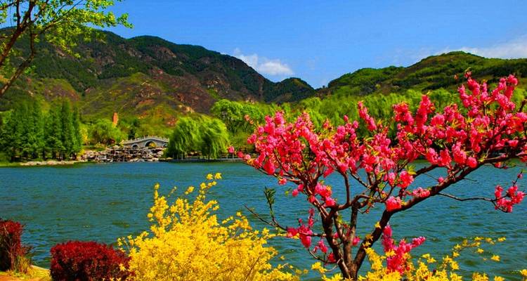 6 Days Kashmir Tour - UncleSam Holidays 7