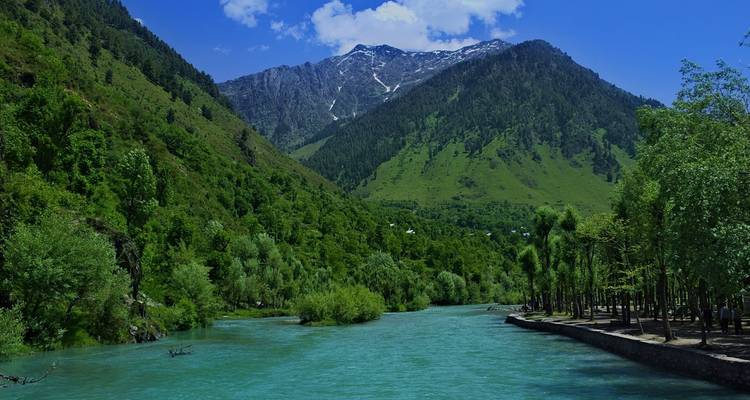 Fluss, der durch ein üppig grünes Tal mit Bergen im Hintergrund fließt.