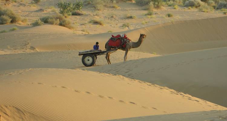 Treasures of Northern India - UncleSam Holidays 1