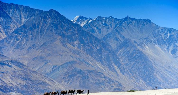 Vacances à Leh Ladakh - UncleSam Holidays 4