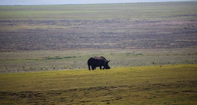 Aventure de 13 jours au Kenya et en Tanzanie - Camping - Acacia Adventure Holidays 9