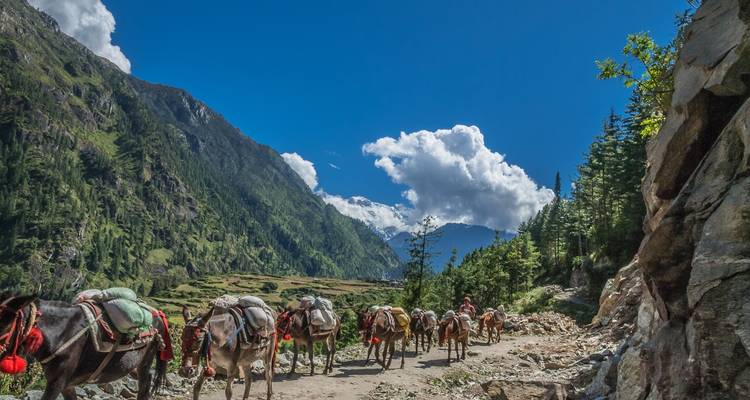 Trek du village de Gurung - Les Siklis - 11 jours - Alpine Club of Himalaya 2