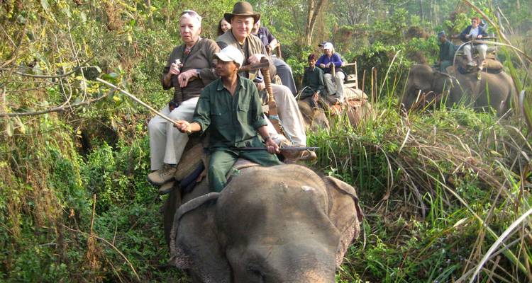 Toeristen op olifanten door weelderige vegetatie in Chitwan Nationaal Park.