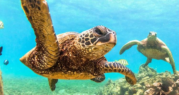 Aventure sur la côte ouest - De Perth à Darwin (2024) - Travel Marvel 3