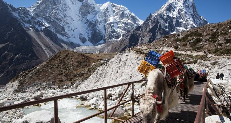 Lodge de luxe au camp de base de l'Everest - 15 jours - Alpine Club of Himalaya 3