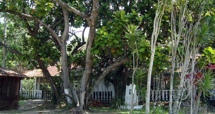 4 jours d'expérience à Ilha Grande - Découvrez le "jardin d'Eden" du Brésil nouveau - Signature DMC 3