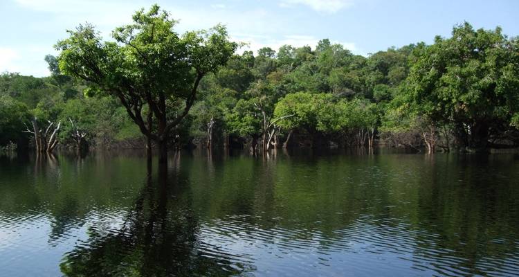 4 days Unique Experience @ Tariri Amazon Lodge , Total Immersion in the Amazon on a Jungle Adventure - Brasil - Signature DMC 4