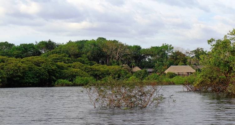 4 days Unique Experience @ Tariri Amazon Lodge , Total Immersion in the Amazon on a Jungle Adventure - Brasil - Signature DMC 8