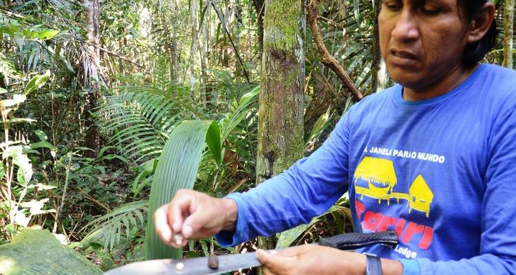 4 days Unique Experience @ Tariri Amazon Lodge , Total Immersion in the Amazon on a Jungle Adventure - Brasil - Signature DMC 9